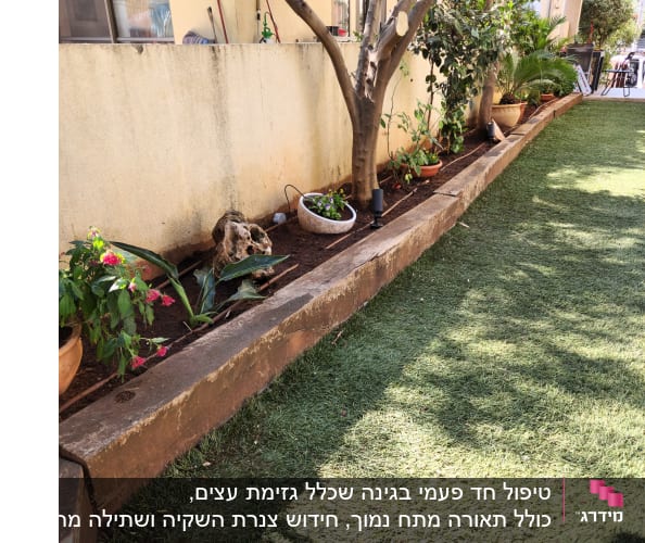 טיפול חד פעמי בגינה שכלל גזימת עצים, כולל תאורה מתח נמוך, חידוש צנרת השקיה ושתילה מחודשת.
